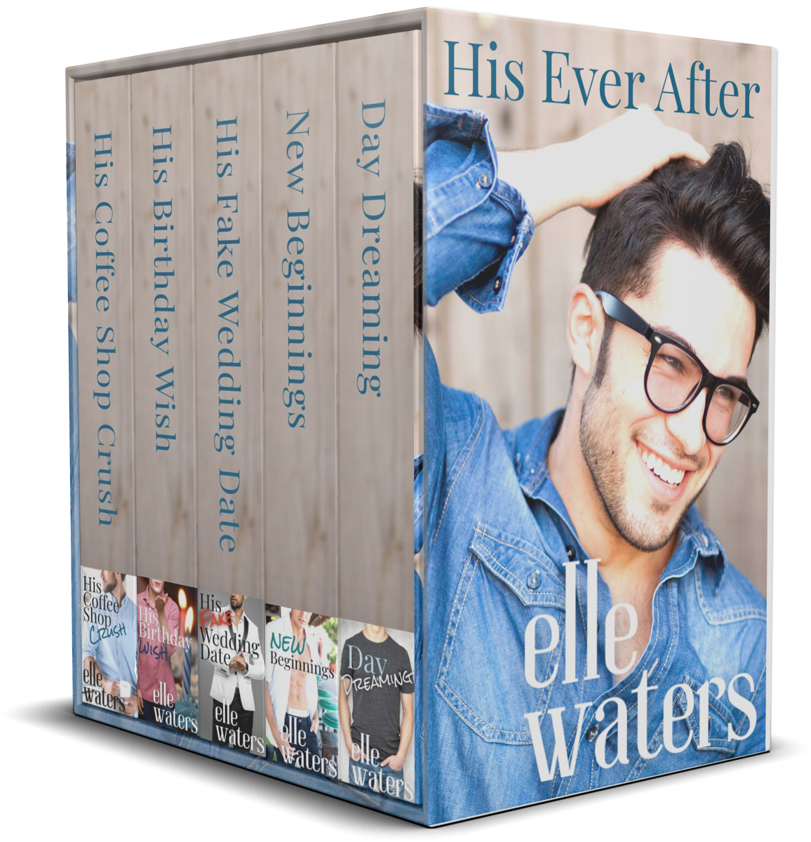 His Ever After Box Set Cover