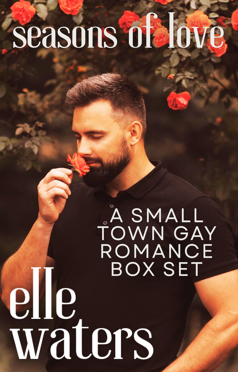 Seasons of Love a small town gay romance box set